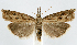  ( - jflandry1223)  @14 [ ] Copyright (2007) Unspecified Canadian National Collection