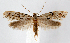  ( - jflandry1246)  @14 [ ] Copyright (2007) Unspecified Canadian National Collection