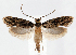  ( - jflandry1248)  @14 [ ] CreativeCommons - Attribution (2010) Unspecified Centre for Biodiversity Genomics