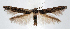  ( - jflandry1267)  @14 [ ] Copyright (2007) Unspecified Canadian National Collection