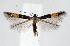  ( - jflandry1271)  @13 [ ] CreativeCommons - Attribution (2010) Unspecified Centre for Biodiversity Genomics