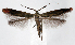  ( - jflandry1280)  @13 [ ] Copyright (2007) Unspecified Canadian National Collection