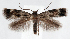  ( - jflandry1287)  @14 [ ] CreativeCommons - Attribution (2010) Unspecified Centre for Biodiversity Genomics