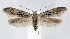  (Hypatopa - jflandry1296)  @15 [ ] CreativeCommons - Attribution (2010) Unspecified Centre for Biodiversity Genomics