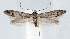  ( - jflandry1297)  @14 [ ] CreativeCommons - Attribution (2010) Unspecified Centre for Biodiversity Genomics