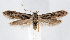  ( - jflandry1299)  @14 [ ] CreativeCommons - Attribution (2010) Unspecified Centre for Biodiversity Genomics