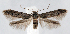  ( - jflandry1300)  @14 [ ] CreativeCommons - Attribution (2010) Unspecified Centre for Biodiversity Genomics