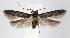  ( - jflandry1302)  @14 [ ] CreativeCommons - Attribution (2010) Unspecified Centre for Biodiversity Genomics