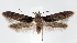  ( - jflandry1304)  @14 [ ] CreativeCommons - Attribution (2010) Unspecified Centre for Biodiversity Genomics