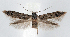  ( - jflandry1305)  @14 [ ] CreativeCommons - Attribution (2010) Unspecified Centre for Biodiversity Genomics