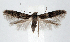 ( - jflandry1309)  @14 [ ] CreativeCommons - Attribution (2010) Unspecified Centre for Biodiversity Genomics