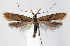 ( - jflandry1312)  @14 [ ] Copyright (2007) Unspecified Canadian National Collection