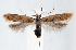  ( - jflandry1314)  @13 [ ] Copyright (2007) Unspecified Canadian National Collection