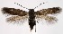  ( - jflandry1580)  @14 [ ] Copyright (2007) Unspecified Canadian National Collection