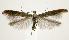  ( - jflandry2079)  @13 [ ] Copyright (2007) Unspecified Canadian National Collection