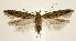  ( - jflandry2097)  @14 [ ] Copyright (2007) Unspecified Canadian National Collection