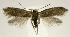  ( - jflandry2323)  @13 [ ] Copyright (2007) Unspecified Canadian National Collection