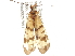  ( - BIOUG35303-C08)  @11 [ ] CreativeCommons - Attribution (2017) Unspecified Centre for Biodiversity Genomics