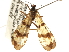  ( - BIOUG35303-F02)  @11 [ ] CreativeCommons - Attribution (2017) Unspecified Centre for Biodiversity Genomics