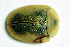  ( - MIS_LEM_MS_0000001)  @12 [ ] Unspecified (default): All Rights Reserved  Unspecified Unspecified