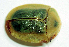  ( - MIS_LEM_MS_0000010)  @12 [ ] Unspecified (default): All Rights Reserved  Unspecified Unspecified