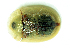  ( - MIS_LEM_MS_0000022)  @13 [ ] Unspecified (default): All Rights Reserved  Unspecified Unspecified