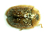  ( - MIS_LEM_MS_0000043)  @12 [ ] Unspecified (default): All Rights Reserved  Unspecified Unspecified