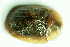  ( - MIS_LEM_MS_0000047)  @13 [ ] Unspecified (default): All Rights Reserved  Unspecified Unspecified