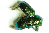  ( - MIS_LEM_MS_0000055)  @12 [ ] Unspecified (default): All Rights Reserved  Unspecified Unspecified