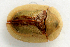  ( - MIS_LEM_MS_0000093)  @14 [ ] Unspecified (default): All Rights Reserved  Unspecified Unspecified