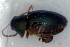  ( - MIS_LEM_MS_0000178)  @12 [ ] Unspecified (default): All Rights Reserved  Unspecified Unspecified