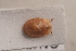  ( - MIS_LEM_MS_0000214)  @13 [ ] Unspecified (default): All Rights Reserved  Unspecified Unspecified