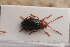  ( - MIS_LEM_MS_0000279)  @13 [ ] Unspecified (default): All Rights Reserved  Unspecified Unspecified