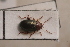  ( - MIS_LEM_MS_0000358)  @11 [ ] Unspecified (default): All Rights Reserved  Unspecified Unspecified