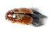  ( - MIS_LEM_MS_0000379)  @12 [ ] Unspecified (default): All Rights Reserved  Unspecified Unspecified