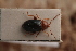  ( - MIS_LEM_MS_0000483)  @12 [ ] Unspecified (default): All Rights Reserved  Unspecified Unspecified