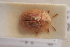  ( - MIS_LEM_MS_0000512)  @13 [ ] Unspecified (default): All Rights Reserved  Unspecified Unspecified
