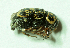  ( - MIS_LEM_MS_0000537)  @13 [ ] Unspecified (default): All Rights Reserved  Unspecified Unspecified