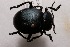  ( - MIS_LEM_MS_0000810)  @14 [ ] Unspecified (default): All Rights Reserved  Unspecified Unspecified