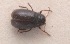  ( - MIS_LEM_MS_0000836)  @12 [ ] Unspecified (default): All Rights Reserved  Unspecified Unspecified