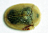  ( - MIS_LEM_MS_0000878)  @12 [ ] Unspecified (default): All Rights Reserved  Unspecified Unspecified