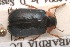 ( - MIS_LEM_MS_0000893)  @12 [ ] Unspecified (default): All Rights Reserved  Unspecified Unspecified