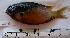  ( - MX106)  @14 [ ] Unspecified (default): All Rights Reserved  Unspecified Unspecified