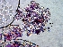  ( - 1233MRP-SA-GA.1)  @11 [ ] Copyright (2009) Unspecified Natural Resources Canada