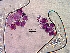  ( - 1268MEB-SAN-SKA.1)  @11 [ ] Copyright (2009) Unspecified Natural Resources Canada
