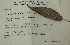  ( - 1272MEP-SAY-USA.1)  @11 [ ] Copyright (2009) Unspecified Natural Resources Canada