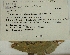  ( - 1273MEP-SAY-USA.1)  @11 [ ] Copyright (2009) Unspecified Natural Resources Canada