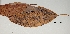  ( - 1279MET-SCO-USA.1)  @11 [ ] Copyright (2009) Unspecified Natural Resources Canada