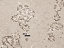  ( - 419MEE-SA-LV1.1)  @11 [ ] Copyright (2009) Unspecified Natural Resources Canada