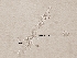  ( - 421MEE-SA-SM2.1)  @11 [ ] Copyright (2009) Unspecified Natural Resources Canada